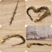 Brass 3D Three-Dimensional Movable Home Office Desktop Antique Ornament Chinese Dragon Handheld Metal Craft_maomaolike.com