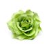 Unisex Rose corsage hair clip Bridal bridal fashion hair accessories multi-colored women_maomaolike.com