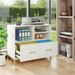 File Cabinet Printer Stand With Drawer & Open Storage Spaces_maomaolike.com