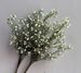 Fresh And Simple 3-branch Gypsophila Wholesale Artificial Fake Flowers For Foreign Trade, Home Decoration, Wedding_maomaolike.com