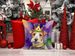 Fox Terrier King Of Mardi Gras Throw Pillow Machine Washable, Indoor Outdoor Decorative Pillow For Couch, Bed Or Patio, 14Hx14W_maomaolike.com