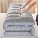 Cross-Border Thickened Warm Lamb Wool Student Dormitory Fleece Soft Cushion Winter Tatami Bed Mattress Pad_maomaolike.com