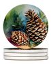Maine White Pine Cone And Tassels In Watercolor Large Sandstone Coasters Pack Of 4 Absorbent Round Coasters Decor Gifts For Men Or Women, 4 In, Multicolor_maomaolike.com