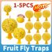 1-5PCS Catcher Sticky Sphere Needle Wasp Yellow Mosquito Ball Bug Trap For Citrus Fruit Fly Killer_maomaolike.com