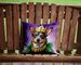 Australian Cattle Dog King Of Mardi Gras Throw Pillow Machine Washable, Indoor Outdoor Decorative Pillow For Couch, Bed Or Patio, 14Hx14W_maomaolike.com