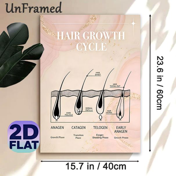 Hair Growth Cycle Painting Poster, Elegant Soft Pink & Gold Minimalist Educational Diagram Poster, Informative Hair Care Knowledge Display, Ideal For_maomaolike.com