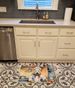 Komondor The Chef Memory Foam Kitchen Mat Machine Washable Anti-Fatigue Mat Cushion Comfort Bath Mat Or Kitchen Rug_maomaolike.com