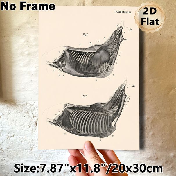 Equine Thoracic Anatomy Painting Poster, Vintage Monochrome Labeled Equine Chest Muscle & Skeletal Illustration Poster, Informative Medical Artwork_maomaolike.com