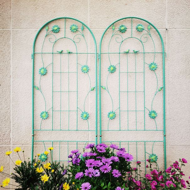 2 Pack Metal Garden Trellis 71" X 19.7" Rustproof Trellis For Climbing Plants Outdoor Flower Support Light Green_maomaolike.com