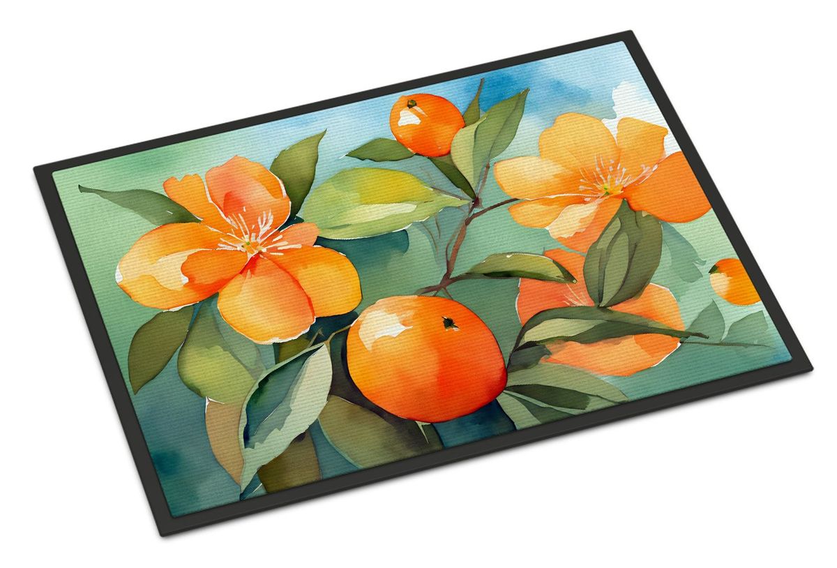 Florida Orange Blossom In Watercolor Doormat Front Door Mat Indoor Outdoor Rugs For Entryway, Non Slip Washable Low Pile, 24H X 36W_maomaolike.com
