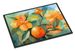 Florida Orange Blossom In Watercolor Doormat Front Door Mat Indoor Outdoor Rugs For Entryway, Non Slip Washable Low Pile, 24H X 36W_maomaolike.com