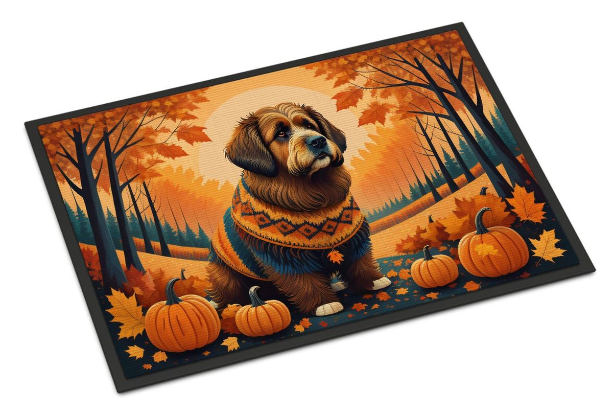 Briard Fall Doormat Front Door Mat Indoor Outdoor Rugs For Entryway, Non Slip Washable Low Pile, 24H X 36W_maomaolike.com
