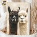 Alpaca Themed Painting Poster, Warm-toned Realistic Cute Alpaca Pair Scene Poster, Charming Animal Artwork Ideal For Living Room, Bedroom And Office_maomaolike.com