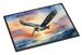 Pelican Fyling At Sunrise Doormat Front Door Mat Indoor Outdoor Rugs For Entryway, Non Slip Washable Low Pile, 24H X 36W_maomaolike.com
