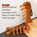Head Meridian Hair Therapy Special Scalp Massage Four-in-One Multi-Functional Horn Comb_maomaolike.com