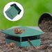 Snail Cage Eco-friendly Slug Reject Gintrap Trap Catcher Reusable Pest Bait Station Tool Garden Farm Protector_maomaolike.com