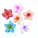 Egg Flower Grab Clip Gradient Flower candy bauhinia back Hair Shark clip hair accessories_maomaolike.com