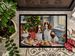 Welsh Springer Spaniel Christmas Cookies Doormat Front Door Mat Indoor Outdoor Rugs For Entryway, Non Slip Washable Low Pile, 24H X 36W_maomaolike.com