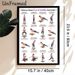 Balance Board Core & Stability Exercises Painting Poster, Clear Cartoon-style Workout Guide Poster, Detailed Core Training Instructions, Ideal For_maomaolike.com