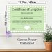 Adoption Certificate Painting Poster, Pastel-toned Cloud-bordered Certificate Poster, Heartfelt Keepsake For Commemorating Adoption, Suitable For Home_maomaolike.com
