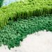 Moss Area Rug Water-Absorbent And Non-slip Moss Rugs For Bedroom Easy To Clean Moss Carpet Suitable For Bathroom, Living, Bedroom Moss Rugs For Bedroom_maomaolike.com