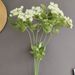 Artificial Foam 2-Head Fennel, Lace, Greenery, Gypsophila For Nordic Home Decor, Model Room, And Wedding Design_maomaolike.com