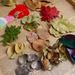 Natural Real Leaves Bookmark Plant Specimen Shooting Props Kindergarten DIY Handmade Dried Flowers Graffiti_maomaolike.com