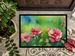 Iowa Wild Prairie Roses In Watercolor Doormat Front Door Mat Indoor Outdoor Rugs For Entryway, Non Slip Washable Low Pile, 24H X 36W_maomaolike.com