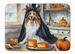 Sheltie Fall Kitchen Pumpkins Memory Foam Kitchen Mat Machine Washable Anti-Fatigue Mat Cushion Comfort Bath Mat Or Kitchen Rug_maomaolike.com