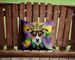 Jack Russell Terrier King Of Mardi Gras Throw Pillow Machine Washable, Indoor Outdoor Decorative Pillow For Couch, Bed Or Patio, 14Hx14W_maomaolike.com