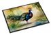 Peacock Doormat Front Door Mat Indoor Outdoor Rugs For Entryway, Non Slip Washable Low Pile, 24H X 36W_maomaolike.com