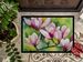 Mississippi Magnolia In Watercolor Doormat Front Door Mat Indoor Outdoor Rugs For Entryway, Non Slip Washable Low Pile, 24H X 36W_maomaolike.com