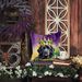 Newfoundland King Of Mardi Gras Throw Pillow Machine Washable, Indoor Outdoor Decorative Pillow For Couch, Bed Or Patio, 14Hx14W_maomaolike.com