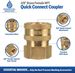 ESSENTIAL WASHER Brass 3/8" Female Quick Connect Fittings To Female NPT - Pressure Washer Couplers, 4200 PSI, 2 Pack_maomaolike.com