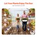Polycarbonate Greenhouse 6 X 4 Ft Outdoor Walk-in Greenhouse For Garden_maomaolike.com