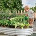 8x4x1ft Raised Garden Bed Kit, Galvanized Planter Raised Garden Beds For Outdoor For Vegetables,Flowers &Herbs, Heavy Duty, Rust-Resistant, Easy Assembly_maomaolike.com