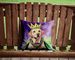 Labrador Retriever King Of Mardi Gras Throw Pillow Machine Washable, Indoor Outdoor Decorative Pillow For Couch, Bed Or Patio, 14Hx14W_maomaolike.com