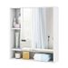 Wall Mounted Bathroom Cabinet With Mirror Single Door For The Bathroom, Living Room Or Entryway_maomaolike.com
