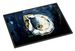 Blue Star Oyster Doormat Front Door Mat Indoor Outdoor Rugs For Entryway, Non Slip Washable Low Pile, 24H X 36W_maomaolike.com