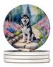 Siberian Husky Spring Path Large Sandstone Coasters Pack Of 4 Absorbent Round Coasters Decor Gifts For Men Or Women, 4 In, Multicolor_maomaolike.com