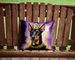 Terrier King Of Mardi Gras Throw Pillow Machine Washable, Indoor Outdoor Decorative Pillow For Couch, Bed Or Patio, 14Hx14W_maomaolike.com