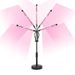 Led Desktop Telescopic Plant Light Full Spectrum Green Plant Aquarium Flower Herb Seedling Plant Growth Fill Light%_maomaolike.com