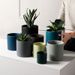 Nordic Style Morandi INS Ceramic Flower Pot Succulent Plant Modern Simple Personality Green Radish With Logo_maomaolike.com