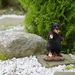 Resin Bear Figurine Statue Craft, Decorative Tabletop Ornament For Indoor Desk And Outdoor Garden Landscape Layout
_maomaolike.com