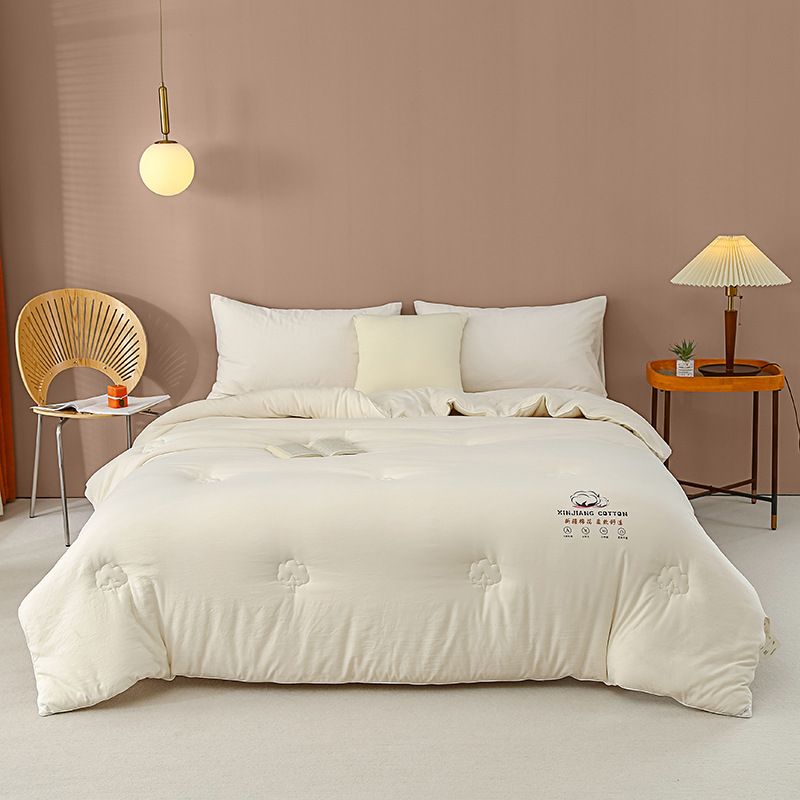 Spring And Autumn Winter Cotton Pad Student Dormitory Core Air Conditioning Quilt Bedding_maomaolike.com