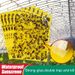 Sticky Insect Board Powerful Flycatcher Yellow Blue Sticker Sheet Greenhouse Pest Control Insecticide Double-sided_maomaolike.com