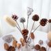 【Pine With Stem】Nordic INS Style Fresh Natural Real Pine Cone Dried Flower Bouquet Home Living Room Decoration Ornament_maomaolike.com
