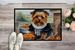 Norfolk Terrier Fall Kitchen Pumpkins Doormat Front Door Mat Indoor Outdoor Rugs For Entryway, Non Slip Washable Low Pile, 24H X 36W_maomaolike.com