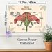 Flower Anatomy Painting Poster, Warm-toned Educational Botanical Poster, Informative Labeled Flower Parts Reference Suitable For Study Rooms_maomaolike.com