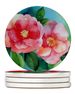 Alabama Camellia In Watercolor Large Sandstone Coasters Pack Of 4 Absorbent Round Coasters Decor Gifts For Men Or Women, 4 In, Multicolor_maomaolike.com